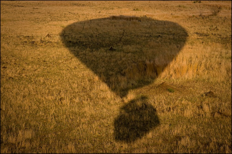  Masai Mara balonem Balon Nikon D300 AF-S Zoom-Nikkor 17-55mm f/2.8G IF-ED Kenia 0 łąka preria pole trawa siano słoma rodzina traw sawanna gleba ecoregion