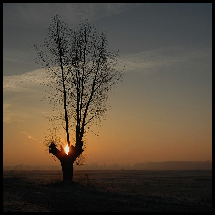  Oko Saurona Krajobraz wierzba Nikon D70 AF-S Zoom-Nikkor 18-70mm f/3.5-4.5G IF-ED niebo drzewo wschód słońca roślina drzewiasta horyzont słońce zachód słońca atmosfera ranek świt