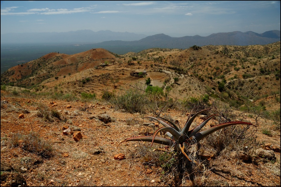  Etiopskie góry Krajobraz Nikon D70 AF-S Zoom-Nikkor 18-70mm f/3.5-4.5G IF-ED Etiopia 0 wegetacja krzewy ekosystem pustynia górzyste formy terenu chaparral Góra niebo skała społeczność roślin
