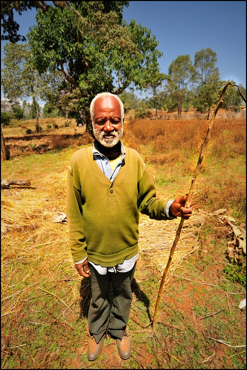  Starzec plemienia Dorze Ludzie Nikon D300 Sigma 10-20mm f/4-5.6 HSM Etiopia 0 Natura Zielony roślina drzewo żółty trawa męski rolnictwo obszar wiejski pole