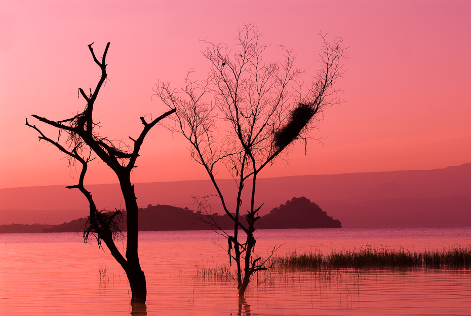  Jezioro Baringo Krajobraz Nikon D300 AF-S Zoom-Nikkor 17-55mm f/2.8G IF-ED Kenia 0 niebo wschód słońca woda zachód słońca spokojna świt drzewo ranek zmierzch poświata