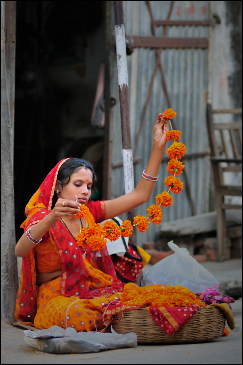  Kwiaciarka Portret Nikon D300 Zoom-Nikkor 80-200mm f/2.8D Indie 0 kobieta żółty tradycja rytuał świątynia dziewczyna religia sari ceremonia
