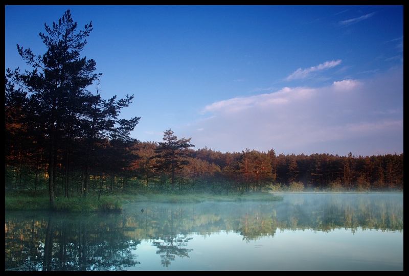  Kaszuby Krajobraz kaszuby jezioro Nikon D70 AF-S Zoom-Nikkor 18-70mm f/3.5-4.5G IF-ED odbicie woda niebo Natura drzewo pustynia atmosfera Chmura mokradło