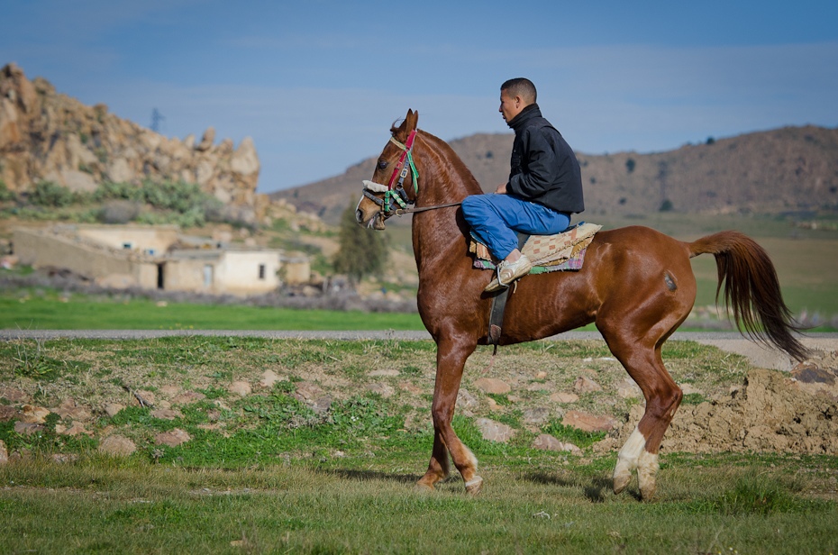  Jeździec Maroko Nikon D7000 AF-S Nikkor 70-200mm f/2.8G Budapeszt Bamako 0 koń ekosystem łąka jazda na szlaku koń jak ssak step klacz pastwisko wodza Jeździectwo