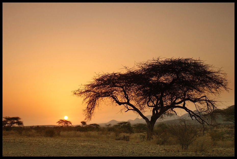  Sawanna Przyroda Nikon D70 AF-S Zoom-Nikkor 18-70mm f/3.5-4.5G IF-ED Kenia 0 ekosystem sawanna niebo wschód słońca ranek świt drzewo zachód słońca ecoregion słońce