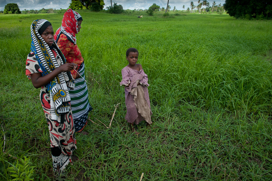  Plantacja ryżu Ludzie Nikon D300 AF-S Zoom-Nikkor 17-55mm f/2.8G IF-ED Zanzibar 0 roślina trawa pole rolnictwo drzewo obszar wiejski rodzina traw przyciąć rekreacja łąka