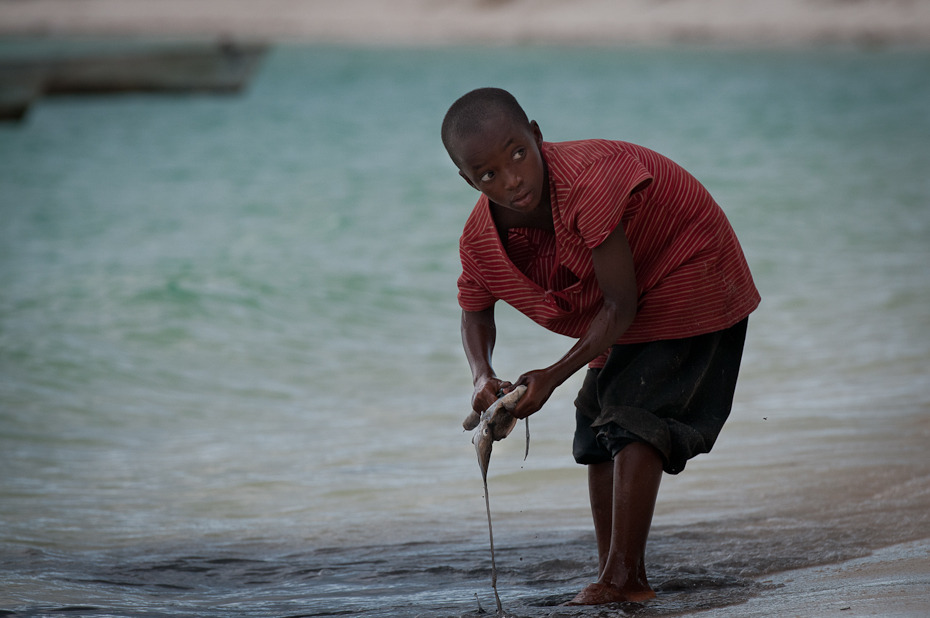  Czyszczenie kałamarnicy Ludzie Nikon D300 AF-S Nikkor 70-200mm f/2.8G Zanzibar 0 woda wakacje plaża morze zabawa człowiek piasek ocean rybak fala