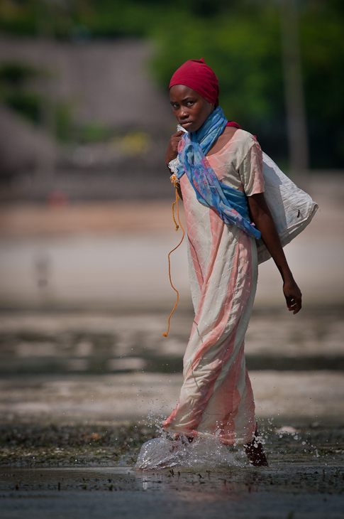  Uprawa wodorostów Ludzie Nikon D300 AF-S Nikkor 70-200mm f/2.8G Zanzibar 0 woda nakrycie głowy dziewczyna świątynia zabawa człowiek wakacje rekreacja