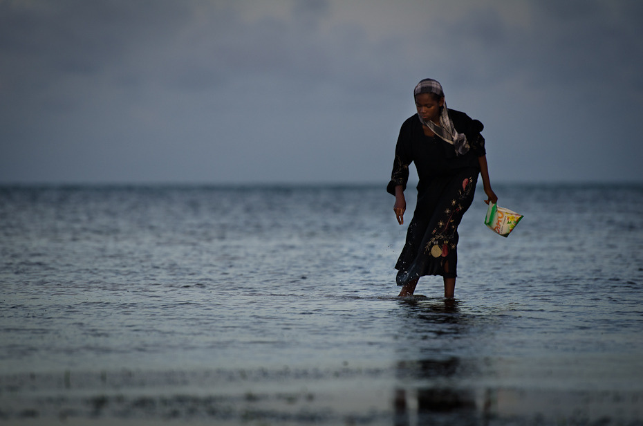  Zbieranie muszli Klimaty Nikon D7000 AF-S Nikkor 70-200mm f/2.8G Zanzibar 0 woda morze zbiornik wodny fala sprzęt do surfowania i materiały eksploatacyjne ocean zabawa plaża męski wakacje