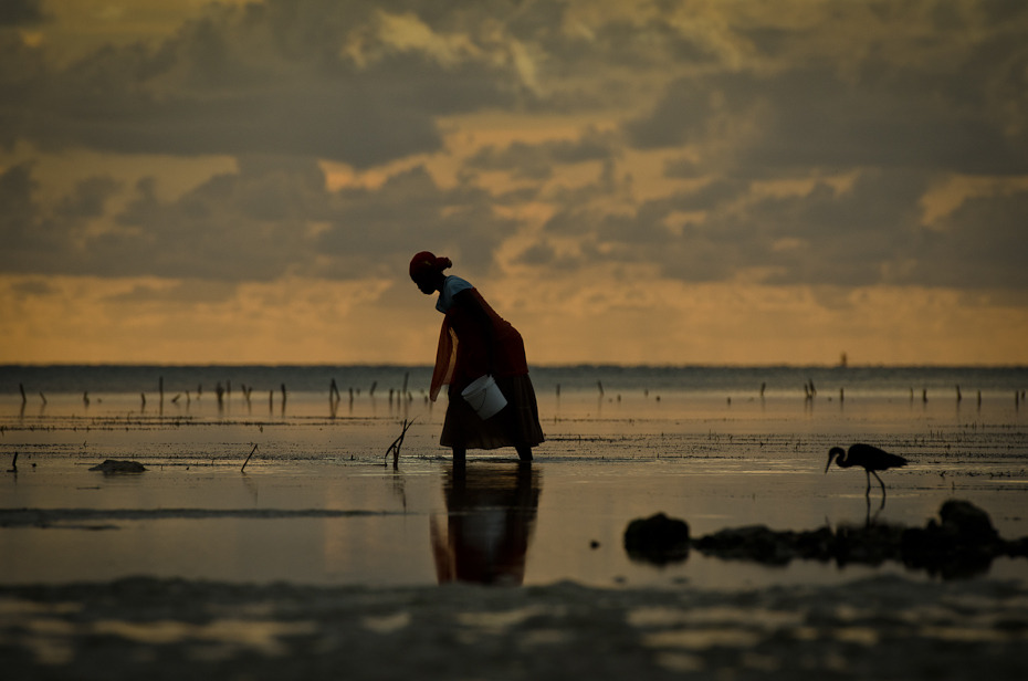  Zbieraczka małży Krajobraz Nikon D7000 AF-S Nikkor 70-200mm f/2.8G Zanzibar 0 niebo morze zbiornik wodny horyzont woda Chmura zachód słońca wschód słońca plaża wieczór