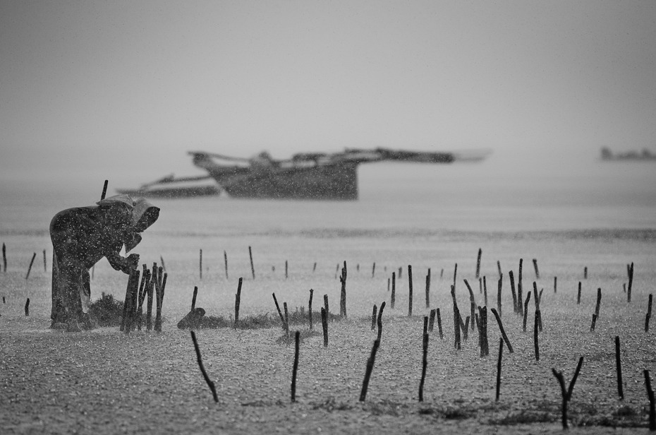  Plantacja wodorostów deszczu Klimaty Nikon D7000 AF-S Nikkor 70-200mm f/2.8G Zanzibar 0 czarny i biały fotografia monochromatyczna woda Wybrzeże morze niebo horyzont fotografia monochromia ranek