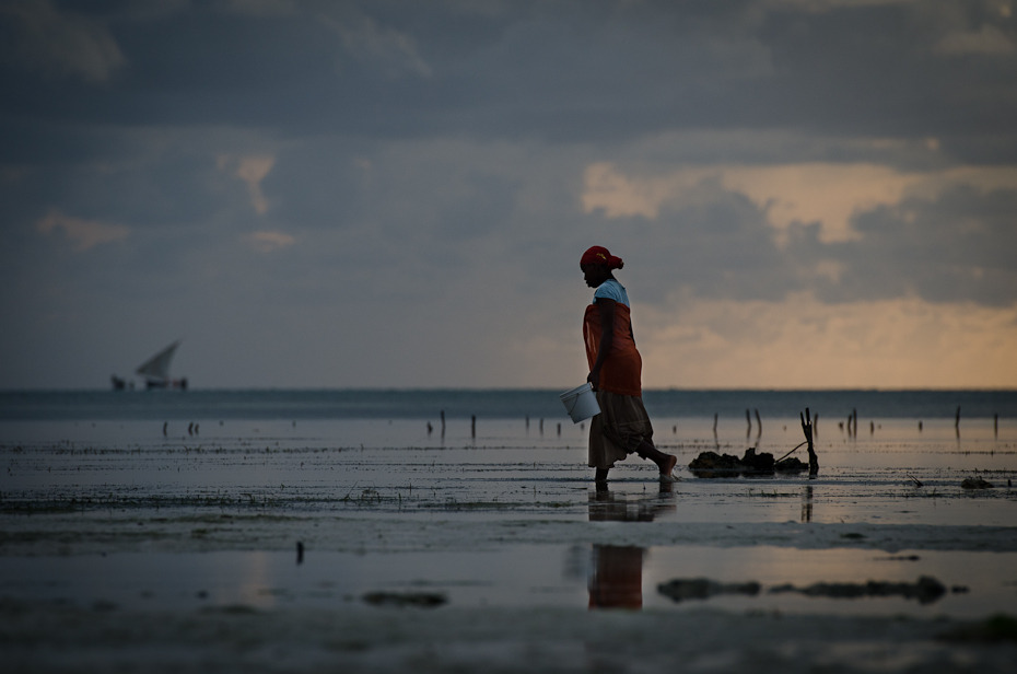  Zbieraczka małży Klimaty Nikon D7000 AF-S Nikkor 70-200mm f/2.8G Zanzibar 0 morze niebo Chmura woda zbiornik wodny horyzont Wybrzeże ocean plaża atmosfera ziemi