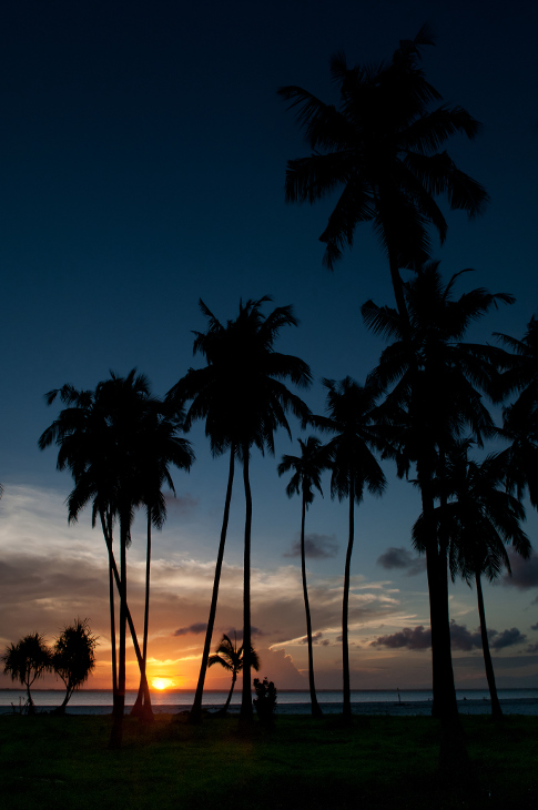  Zachód słońca Krajobraz Nikon D300 AF-S Zoom-Nikkor 17-55mm f/2.8G IF-ED Zanzibar 0 niebo drzewo palmowe Arecales morze drzewo zachód słońca kraje tropikalne zmierzch wieczór horyzont