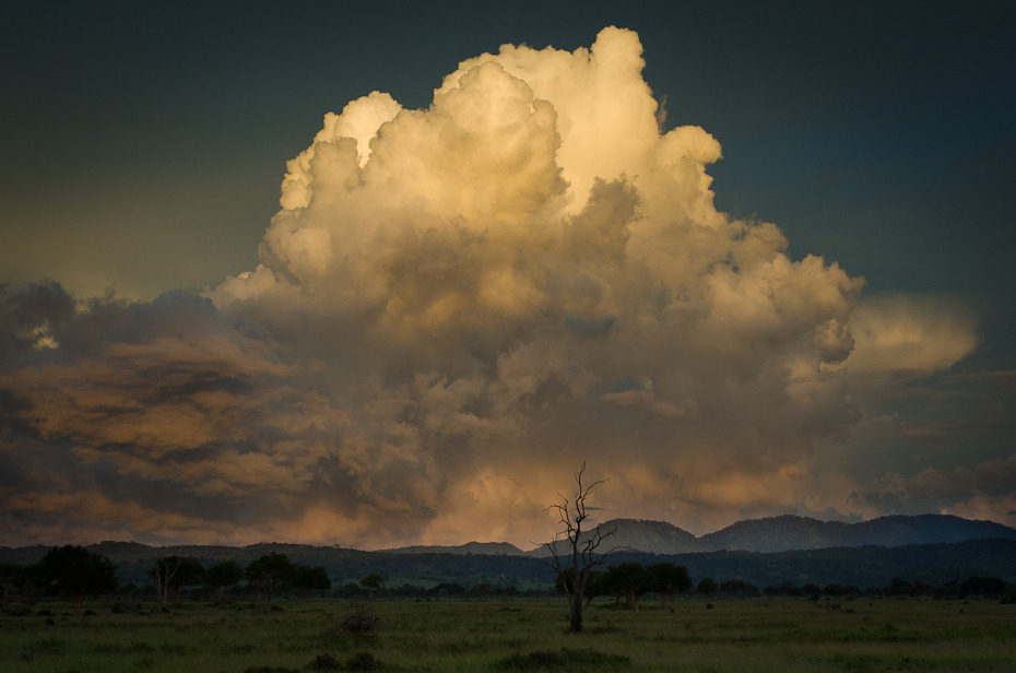  Chmura burzowa Przyroda Nikon D7000 AF-S Nikkor 70-200mm f/2.8G Tanzania 0 niebo cumulus atmosfera horyzont zjawisko meteorologiczne wieczór ranek dzień atmosfera ziemi