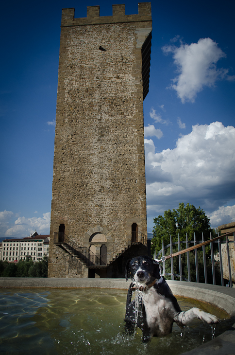  Florencja Toskania 0 Nikon D7000 AF-S Zoom-Nikkor 17-55mm f/2.8G IF-ED niebo wieża woda Ściana budynek Chmura dzwonnica fasada pomnik