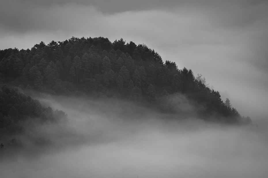  Apeniny Toskania 0 Nikon D7000 AF-S Nikkor 70-200mm f/2.8G niebo mgła zamglenie czarny i biały Chmura atmosfera fotografia monochromatyczna drzewo ranek fotografia