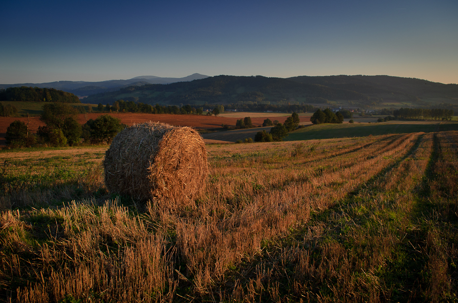  żniwach Trzebieszowice 0 Nikon D7000 AF-S Zoom-Nikkor 17-55mm f/2.8G IF-ED pole niebo siano gospodarstwo rolne obszar wiejski ranek wzgórze łąka rolnictwo wieczór