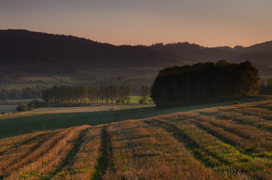  Pola Trzebieszowice 0 Nikon D7000 AF-S Zoom-Nikkor 17-55mm f/2.8G IF-ED pole świt niebo ranek średniogórze obszar wiejski gospodarstwo rolne wzgórze atmosfera światło słoneczne