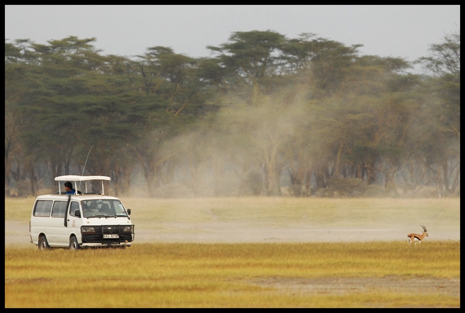  Kenijskie podróże Klimaty Nikon D200 Sigma APO 500mm f/4.5 DG/HSM Kenia 0 łąka samochód pole pojazd safari Równina atmosfera ziemi trawa kurz drzewo