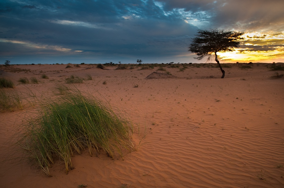  Sahara Mauretania Nikon D300 AF-S Zoom-Nikkor 17-55mm f/2.8G IF-ED Budapeszt Bamako 0 niebo Chmura piasek ekosystem erg krajobraz eoliczny krajobraz horyzont ecoregion pustynia