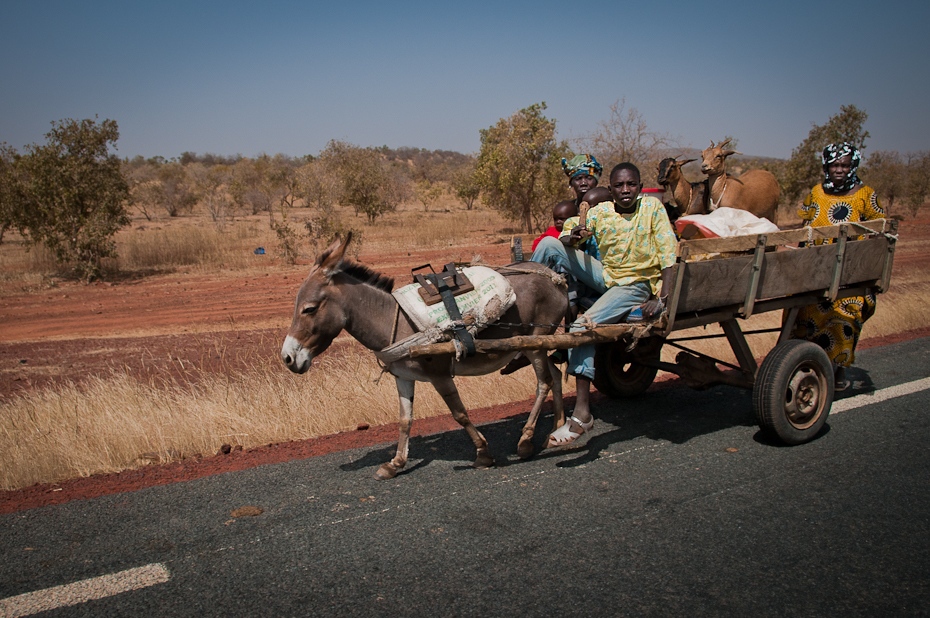  Dwukółka Mali Nikon D300 AF-S Zoom-Nikkor 17-55mm f/2.8G IF-ED Budapeszt Bamako 0 pojazd rodzaj transportu wózek koń i buggy wagon juczne zwierzę samochód wóz drzewo koń jak ssak