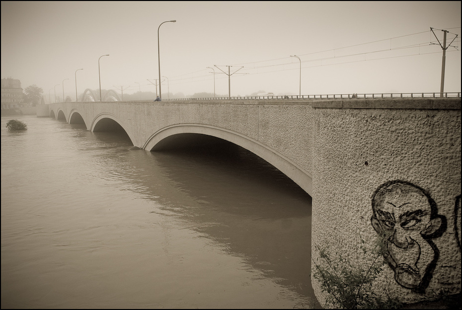  Mosty Warszawskie Powódź 0 Wrocław Nikon D200 AF-S Zoom-Nikkor 17-55mm f/2.8G IF-ED woda czarny i biały odbicie most fotografia monochromatyczna naprawiony link monochromia rzeka niebo drzewo