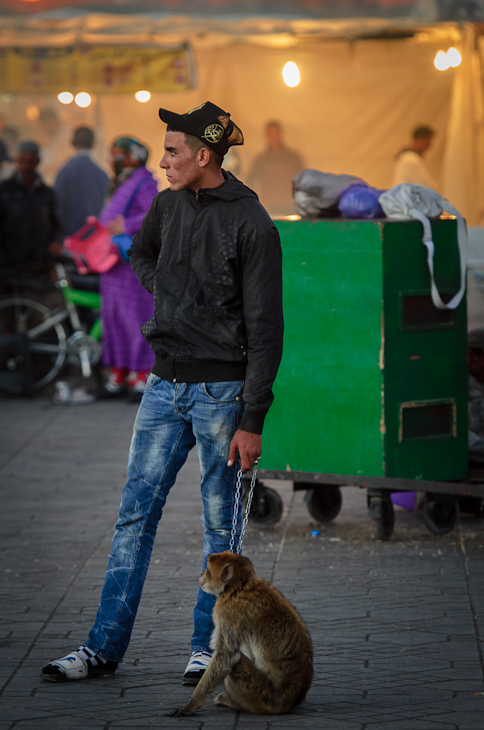  Małpa treser Marrakesz Nikon D7000 AF-S Nikkor 70-200mm f/2.8G Maroko 0 ssak kręgowiec dżinsy męski zabawa człowiek ulica ludzkie zachowanie Droga dziewczyna