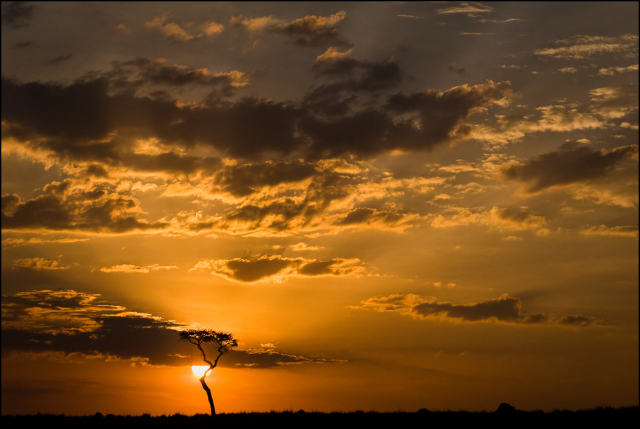  Zachód słońca nad Masai Marą Krajobraz Nikon D200 AF-S Nikkor 70-200mm f/2.8G Kenia 0 niebo Chmura poświata zachód słońca atmosfera horyzont słońce wieczór atmosfera ziemi wschód słońca