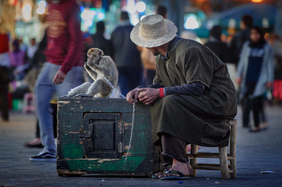  Treser małp Marrakesz Nikon D7000 AF-S Nikkor 70-200mm f/2.8G Maroko 0 człowiek infrastruktura miejsce publiczne ulica męski Droga migawka posiedzenie ludzkie zachowanie