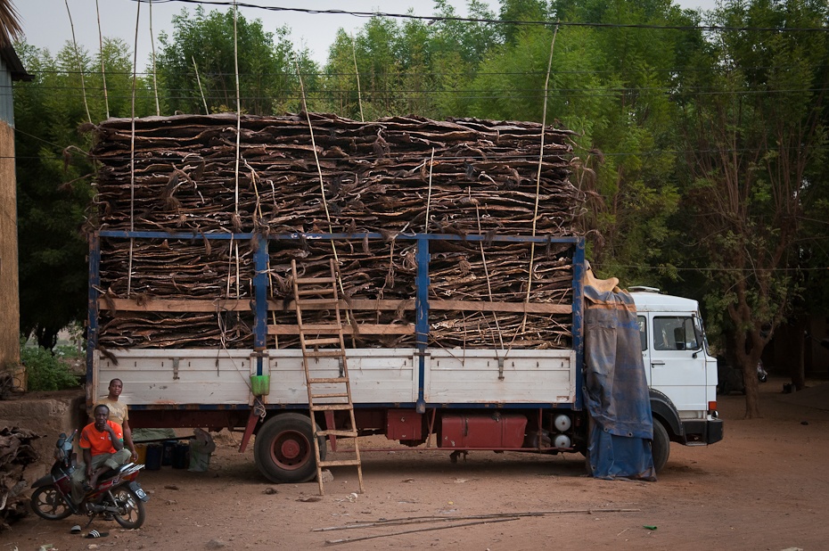  Załadunek skór Mali Nikon D300 AF-S Zoom-Nikkor 17-55mm f/2.8G IF-ED Budapeszt Bamako 0 pojazd transport drzewo pojazd silnikowy samochód roślina drewno użyteczności publicznej