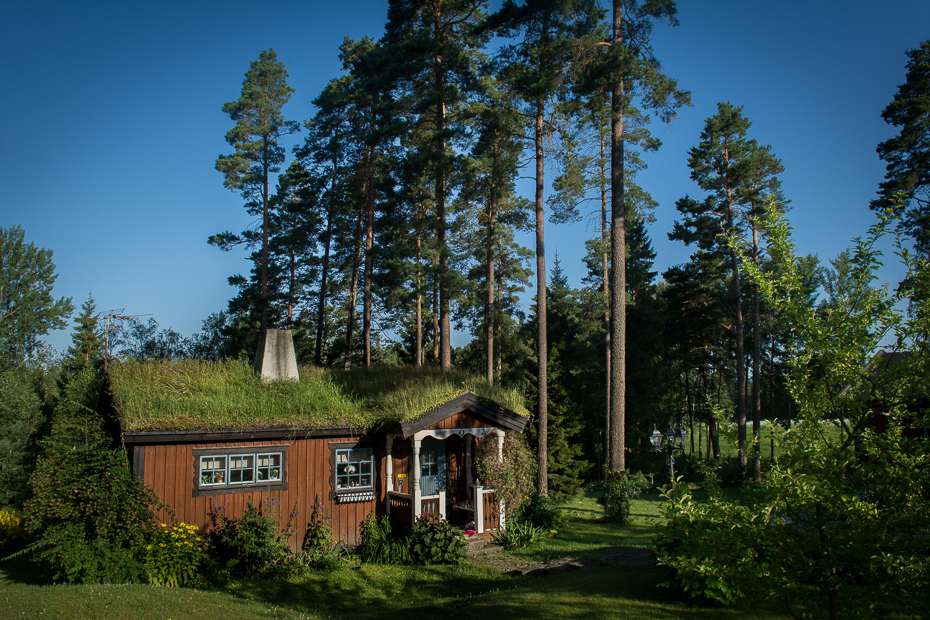  Domek hobbita Krajobraz Nikon D7100 AF-S Zoom-Nikkor 17-55mm f/2.8G IF-ED Szwecja 0 Natura niebo Dom drzewo dom Chata roślina obszar wiejski majątek trawa