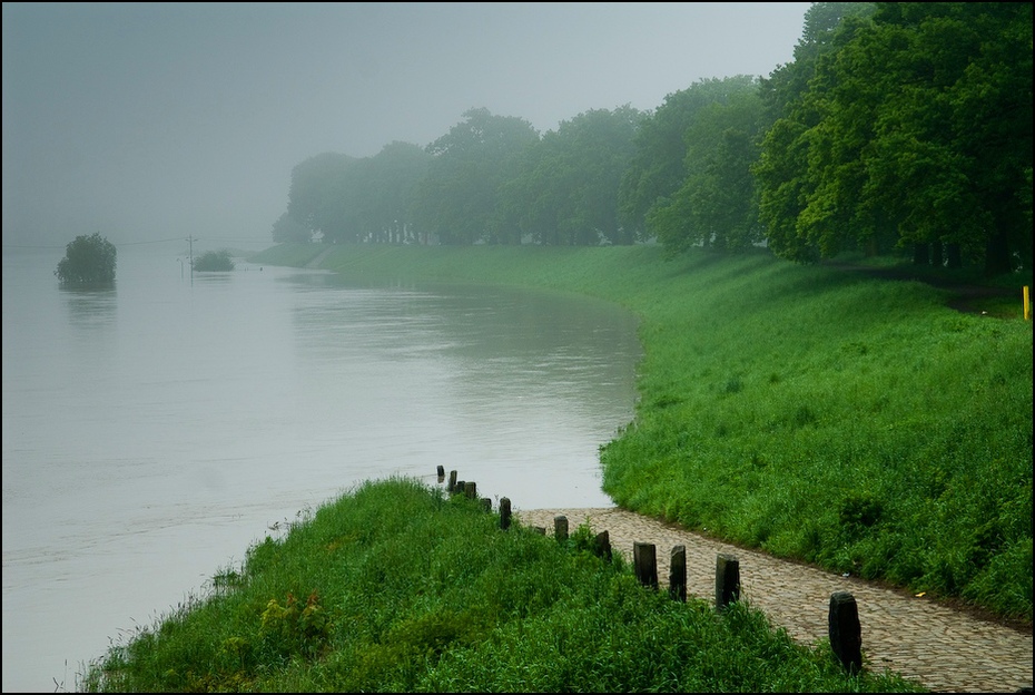  Odra Powódź 0 Wrocław Nikon D200 AF-S Zoom-Nikkor 17-55mm f/2.8G IF-ED Zielony woda Natura rzeka arteria wodna Bank zamglenie wegetacja zasoby wodne mgła
