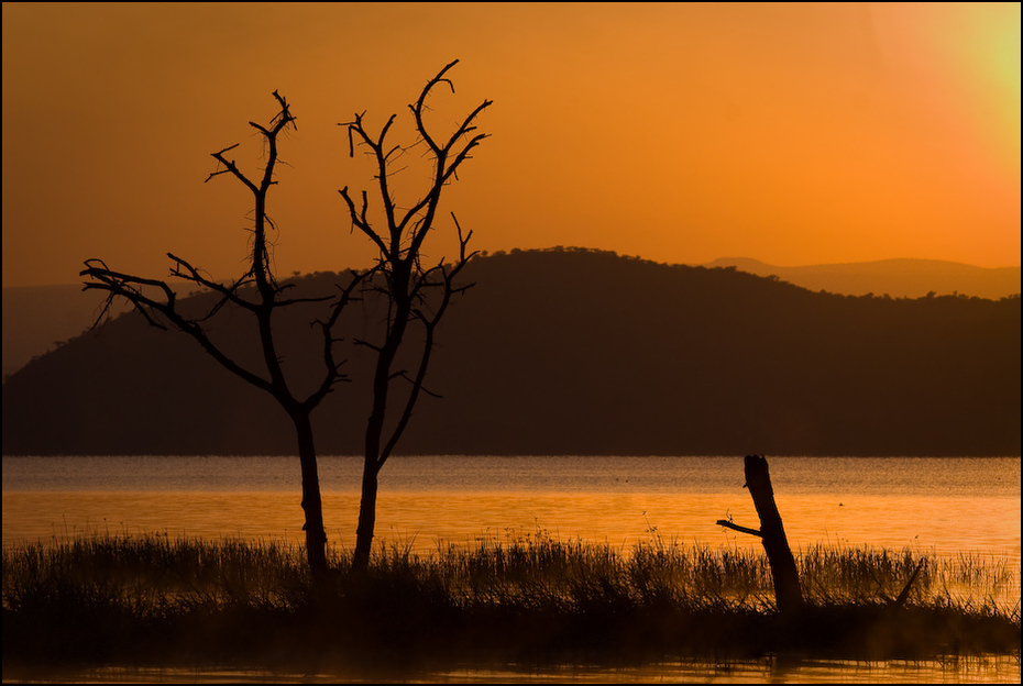  Jezioro Baringo rankiem Krajobraz Nikon D200 AF-S Nikkor 70-200mm f/2.8G Kenia 0 zachód słońca niebo wschód słońca drzewo ranek wieczór zmierzch woda sawanna horyzont