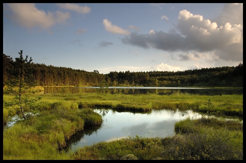  Kaszuby Krajobraz kaszuby jezioro Nikon D70 AF-S Zoom-Nikkor 18-70mm f/3.5-4.5G IF-ED odbicie Natura niebo mokradło woda pustynia Chmura rezerwat przyrody bagno
