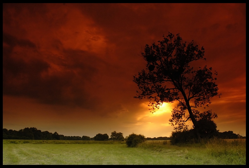  Nadchodzi... Krajobraz odra krajobraz Nikon D70 AF-S Zoom-Nikkor 18-70mm f/3.5-4.5G IF-ED niebo Natura drzewo świt roślina drzewiasta atmosfera Chmura czerwone niebo rano wschód słońca ranek