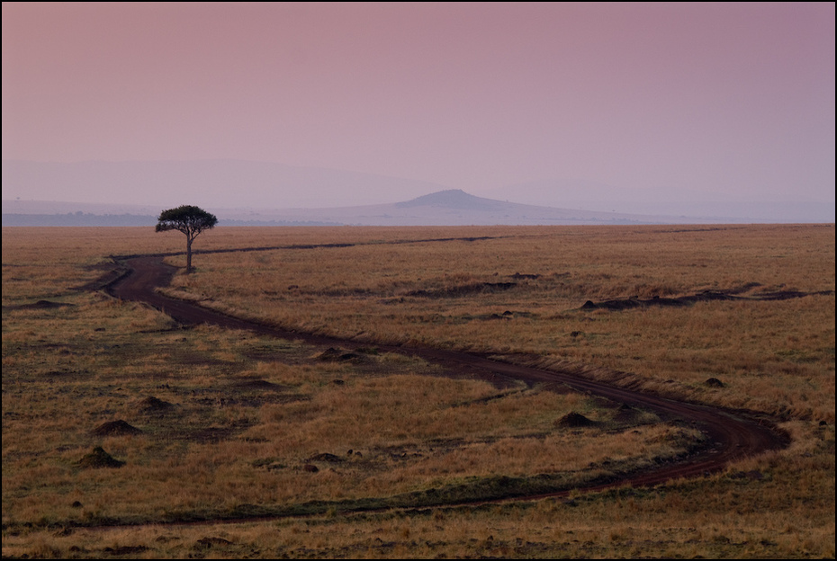  Masai Mara rano Krajobraz Nikon D200 AF-S Nikkor 70-200mm f/2.8G Kenia 0 ekosystem Równina horyzont ecoregion step niebo sawanna krajobraz pustynia wzgórze