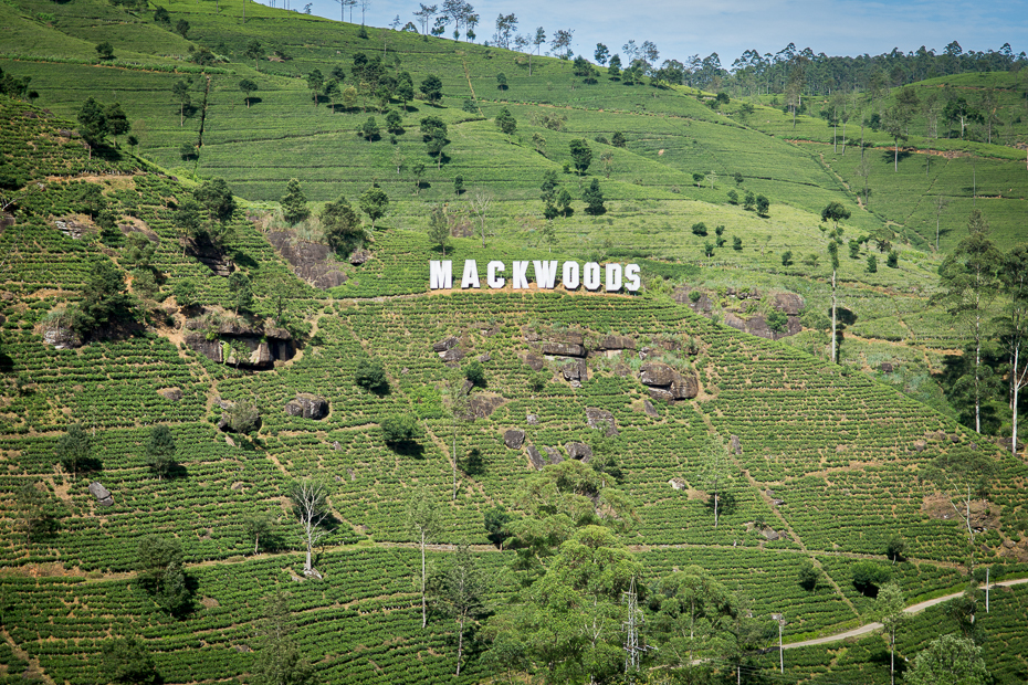  Pola herbaciane Krajobraz Nikon D7200 NIKKOR 200-500mm f/5.6E AF-S Sri Lanka 0 wegetacja łąka rolnictwo pastwisko pole stacja na wzgorzu trawa obszar wiejski średniogórze wzgórze