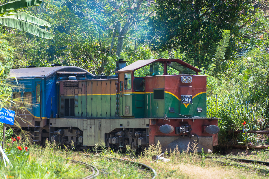  Pociąg wjeżdża Ella Street Nikon D7200 AF-S Nikkor 70-200mm f/2.8G Sri Lanka 0 transport transport kolejowy pociąg Natura lokomotywa roślina tabor tor drzewo pojazd