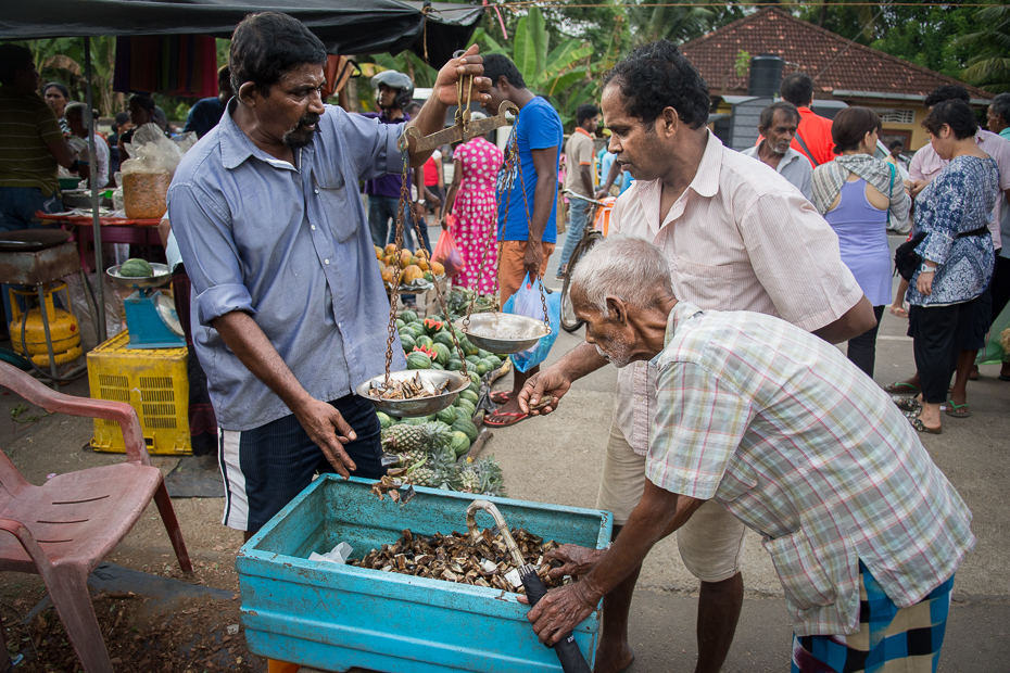  Ważenie towaru Street Nikon D7200 AF-S Zoom-Nikkor 17-55mm f/2.8G IF-ED Sri Lanka 0 miejsce publiczne sprzedawca rynek jedzenie bazar świątynia produkować sprzedawanie uliczne jedzenie