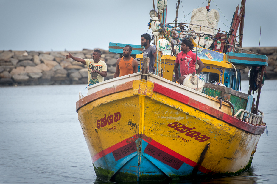  Powrót połowu Street Nikon D7200 AF-S Nikkor 70-200mm f/2.8G Sri Lanka 0 transport wodny woda łódź jednostki pływające statek rybacki żeglarstwo pojazd turystyka rekreacja trawler rybacki