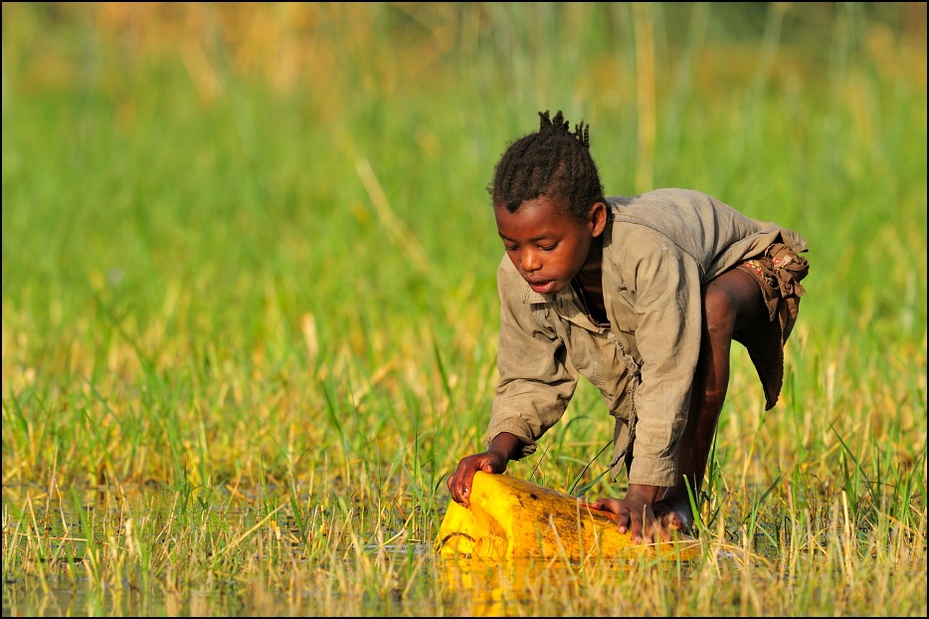  Nabieranie wody Ludzie Nikon D300 Sigma APO 500mm f/4.5 DG/HSM Etiopia 0 pole trawa rolnictwo łąka przyciąć pole ryżowe preria rodzina traw męski dziecko