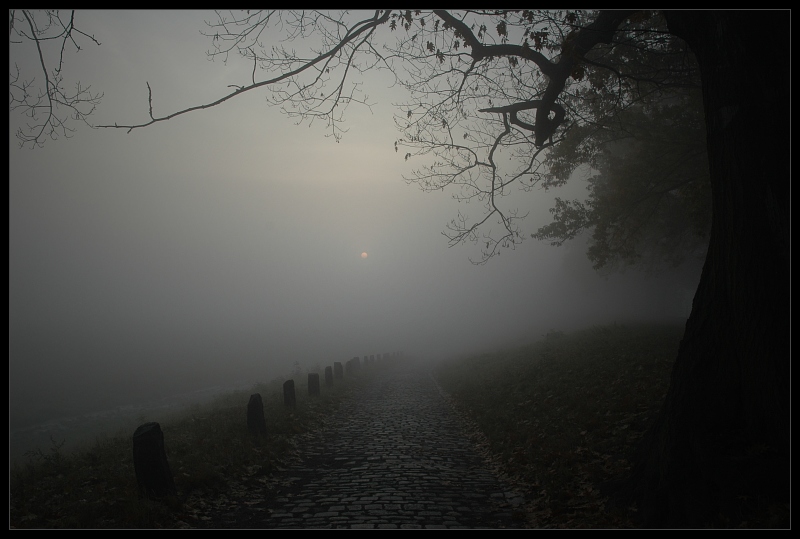  mgle Krajobraz mgła odra wrocław Nikon D70 AF-S Zoom-Nikkor 18-70mm f/3.5-4.5G IF-ED zamglenie atmosfera drzewo ranek ciemność atmosfera ziemi fotografia niebo czarny i biały