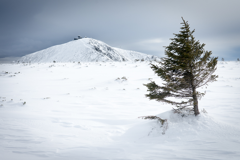  Śnieżka Karkonosze Nikon D7200 AF-S Zoom-Nikkor 17-55mm f/2.8G IF-ED śnieg górzyste formy terenu zimowy niebo Góra pasmo górskie drzewo zamrażanie zjawisko geologiczne Chmura