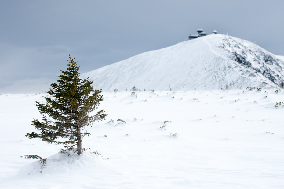  Śnieżka Karkonosze Nikon D7200 AF-S Zoom-Nikkor 17-55mm f/2.8G IF-ED śnieg zimowy górzyste formy terenu niebo drzewo Góra nunatak zjawisko geologiczne zamrażanie pasmo górskie