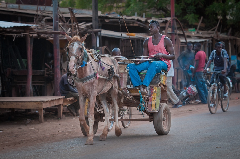  Senegalskie miasteczko Senegal Nikon D300 AF-S Nikkor 70-200mm f/2.8G Budapeszt Bamako 0 pojazd lądowy wózek rodzaj transportu pojazd transport koń jak ssak rydwan juczne zwierzę koń ulica