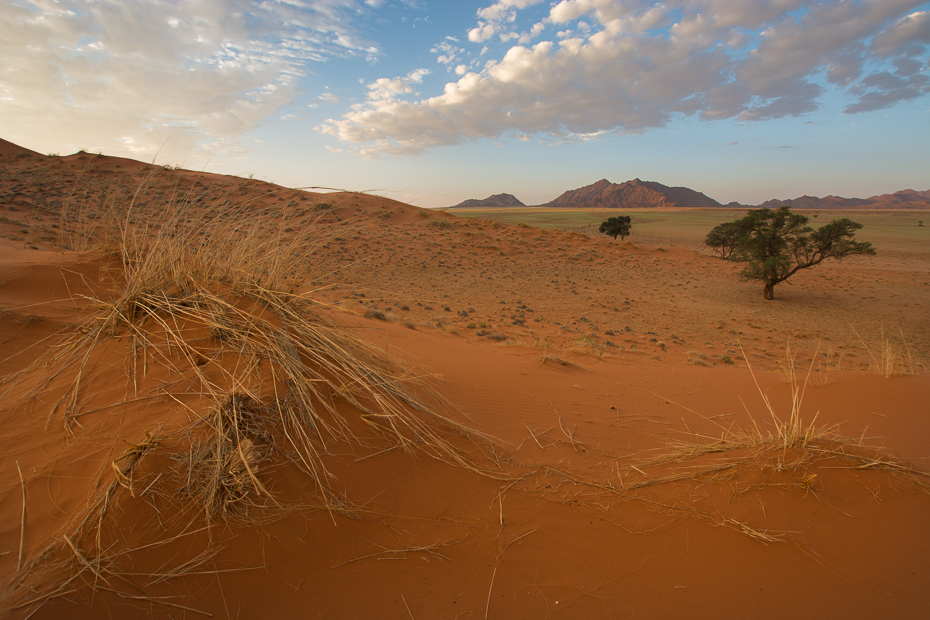  Sossusvlei Krajobraz Nikon D7100 Sigma 10-20mm f/3.5 HSM Namibia 0 ekosystem pustynia erg eoliczny krajobraz piasek niebo krajobraz wydma ecoregion sahara