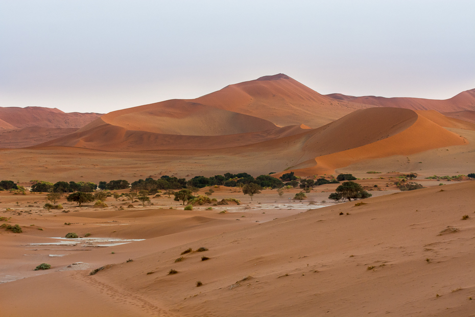  Deadvlei Krajobraz Nikon D7100 AF-S Nikkor 70-200mm f/2.8G Namibia 0 pustynia erg eoliczny krajobraz śpiewający piasek piasek sahara wydma krajobraz niebo wyschnięte koryto rzeki
