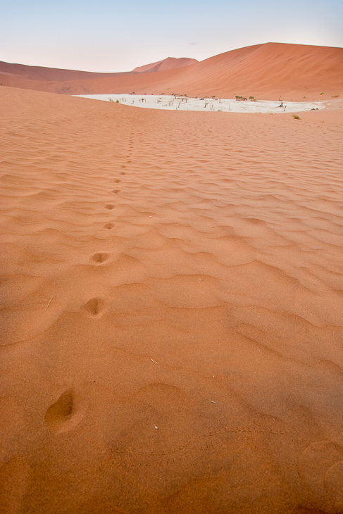  Deadvlei Krajobraz Nikon D7100 Sigma 10-20mm f/3.5 HSM Namibia 0 erg śpiewający piasek eoliczny krajobraz pustynia piasek niebo wydma horyzont sahara ecoregion