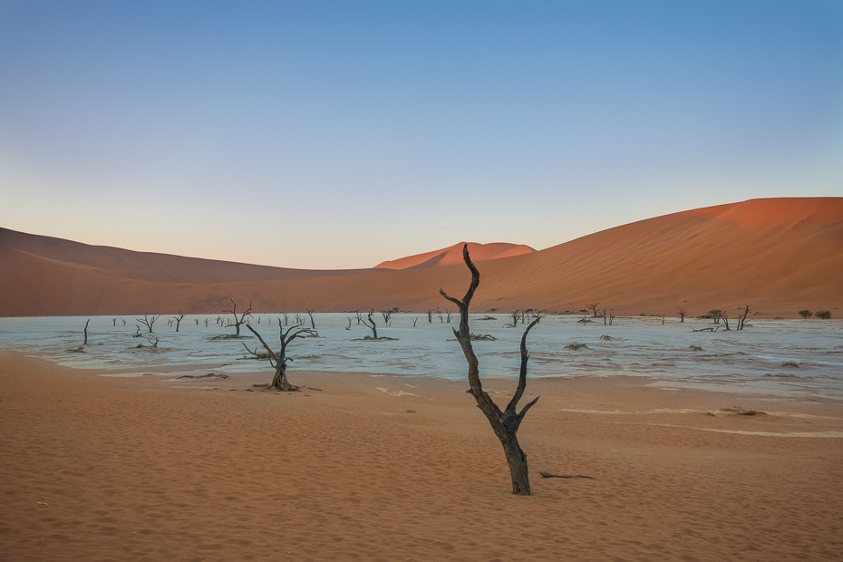  Deadvlei Krajobraz Nikon D7100 Sigma 10-20mm f/3.5 HSM Namibia 0 niebo piasek wydma erg eoliczny krajobraz śpiewający piasek pustynia horyzont krajobraz sahara