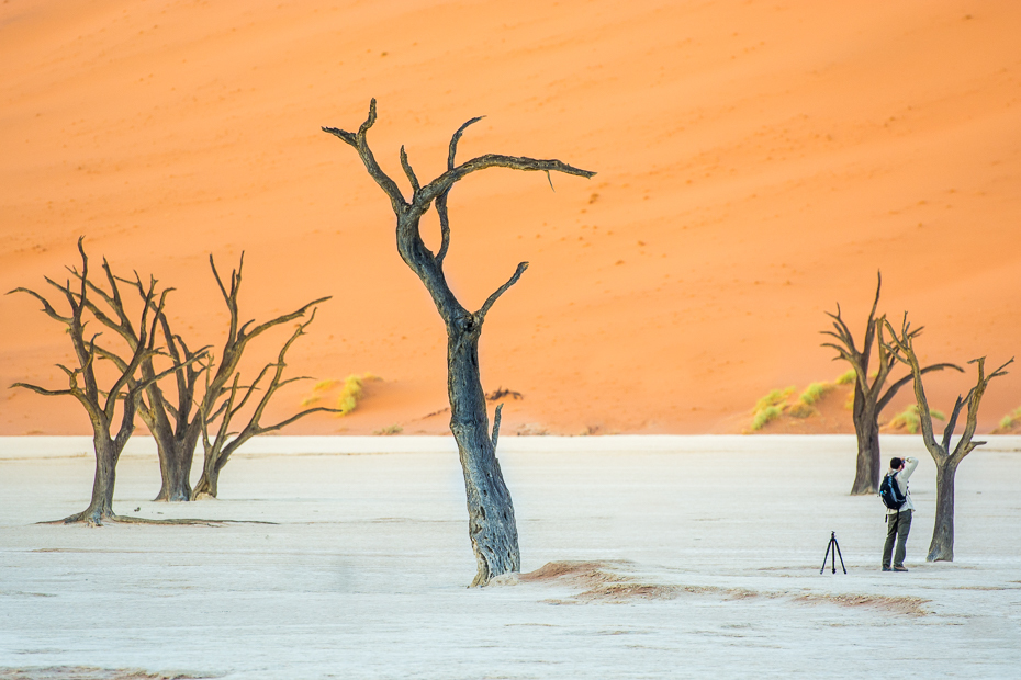  Deadvlei Krajobraz Nikon D7100 AF-S Nikkor 70-200mm f/2.8G Namibia 0 drzewo niebo drewno ranek gałąź woda piasek zimowy światło słoneczne krajobraz